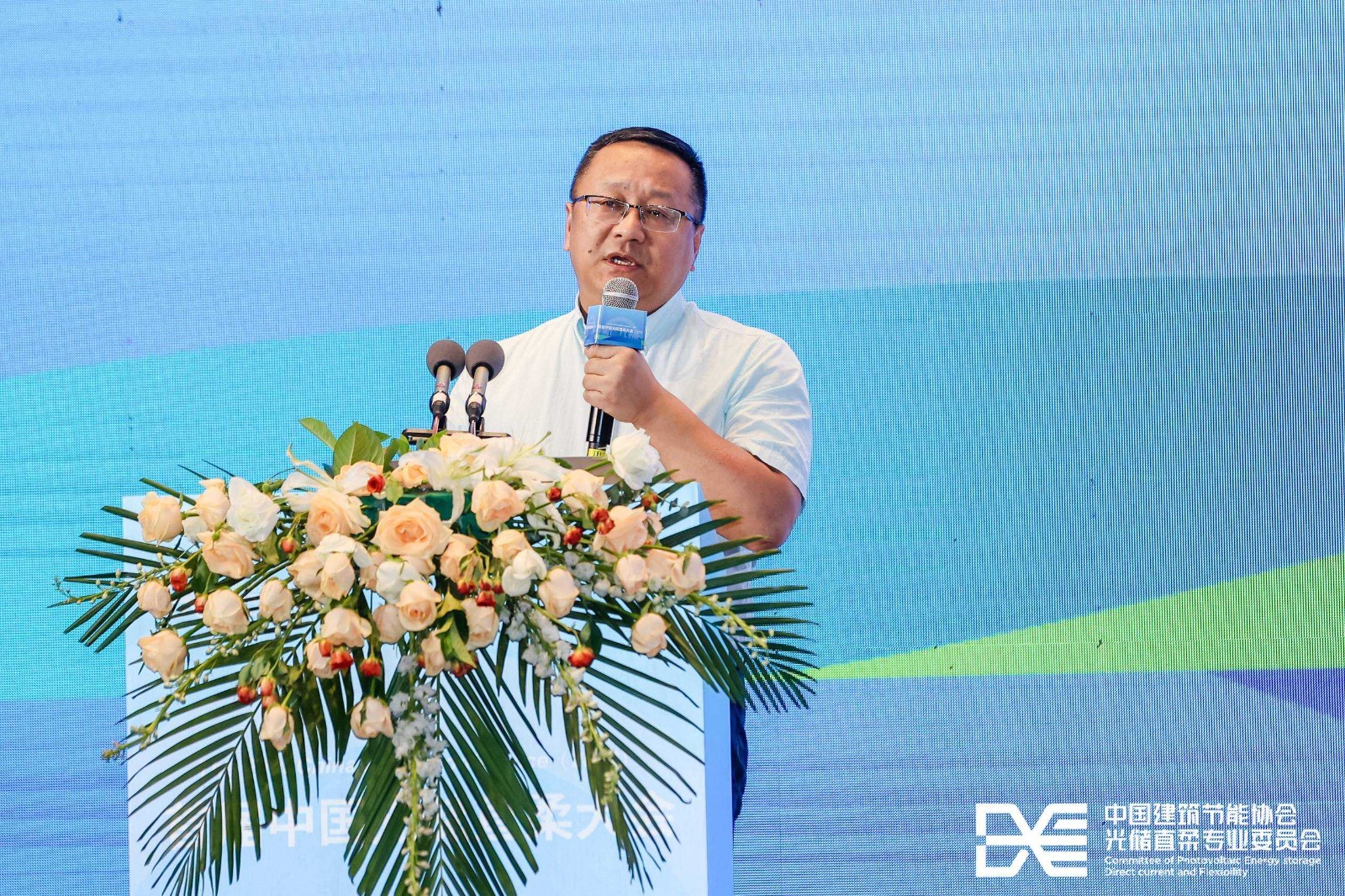 1689040330399575.jpg 1689040330399575.jpg